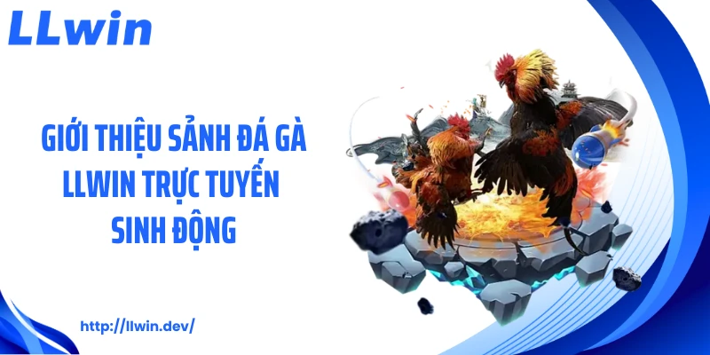 Giới thiệu sảnh đá gà LLWIN trực tuyến sinh động